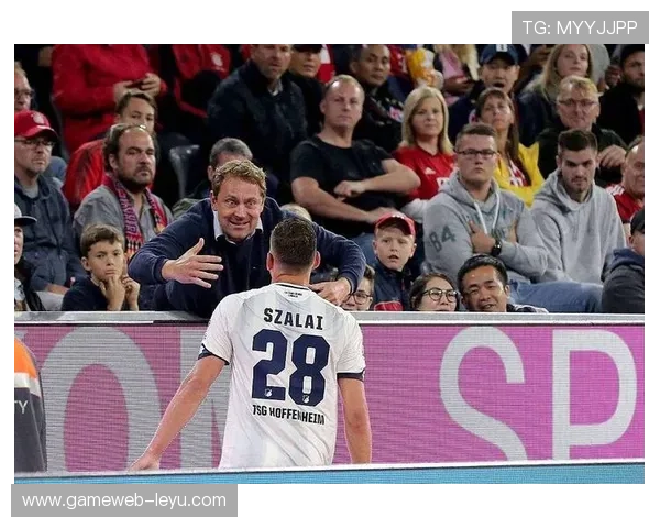 拜仁状态佳主场强势,霍芬海姆进攻提升,亚洲杯内幕500体育为您解锁 拜仁状态佳主场强势,霍芬海姆进攻提升,亚洲杯内幕500体育为您解锁